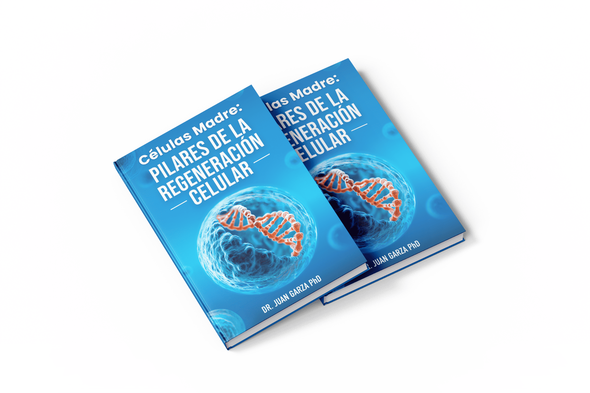 Libro Células Madre